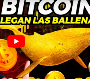 ¡¡Las BALLENAS están ACUMULANDO BITCOIN!! | ¿CONTINÚA el MERCADO ALCISTA?